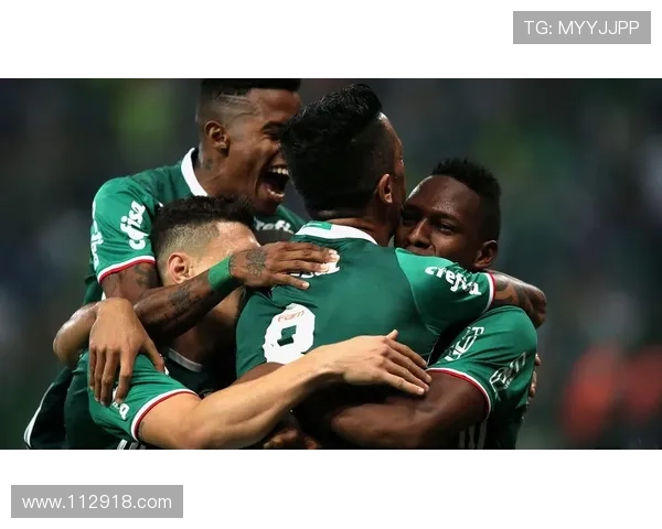 巴西甲级联赛高清直播:绿茵豪门激战正酣 巴西甲级联赛高清直播:绿茵豪门激战正酣